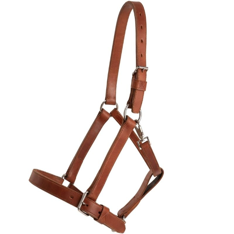 Licol en cuir Draft Oak Bark
