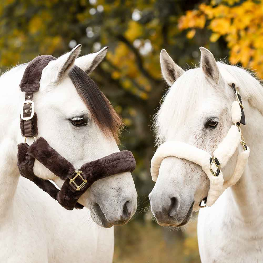 Licol Confort avec Fourrure Marron/Marron