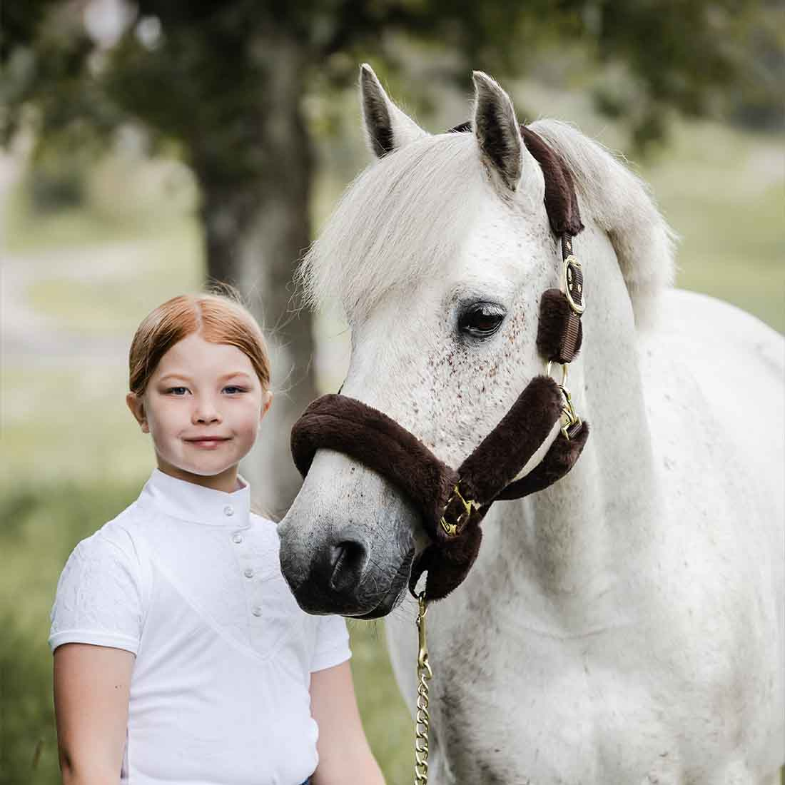 Licol Confort avec Fourrure Marron/Marron