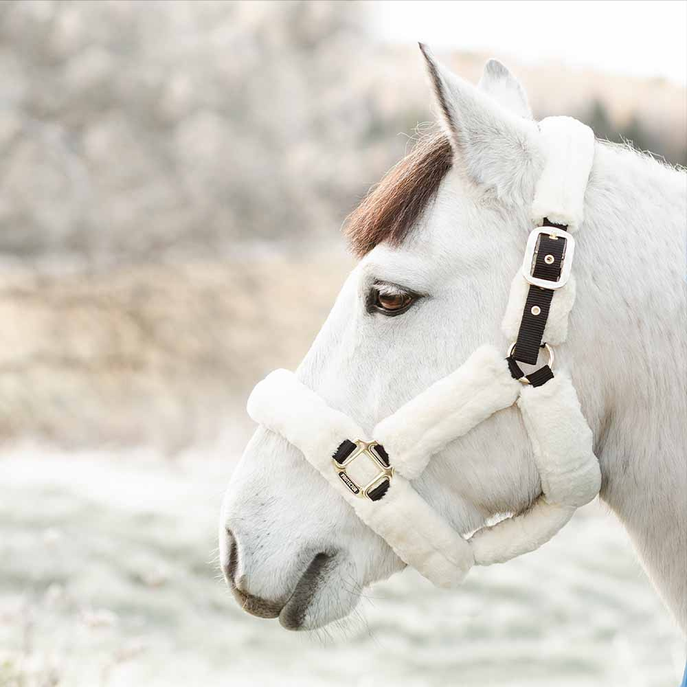 Licol Confort avec Fourrure Noir/Naturel