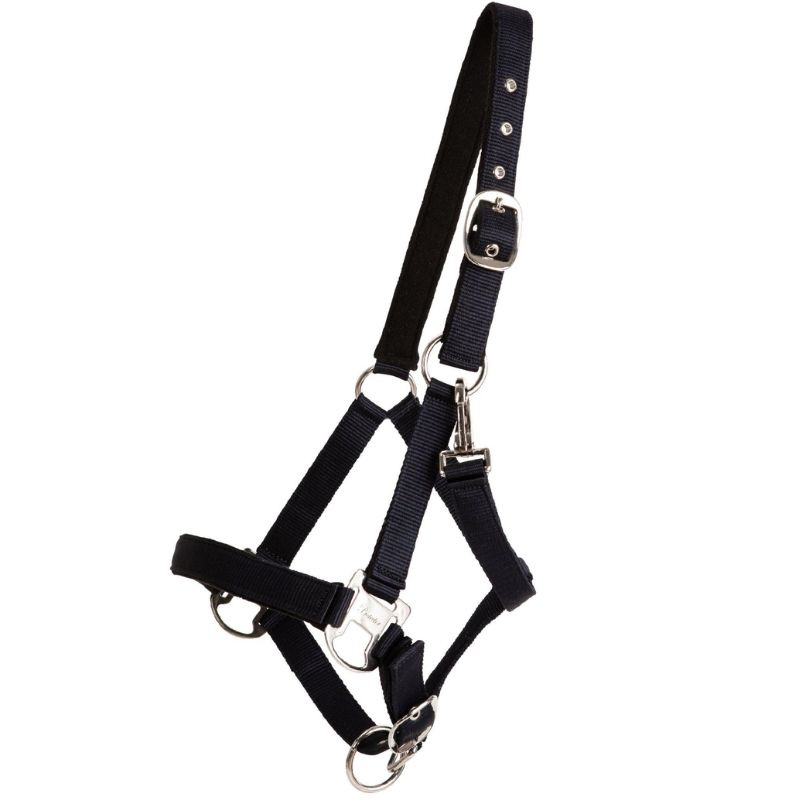 Licol Double Buckle Bleu Marine