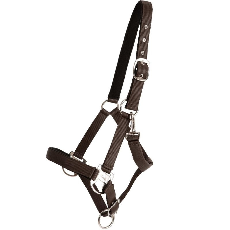 Licol Double Buckle Marron