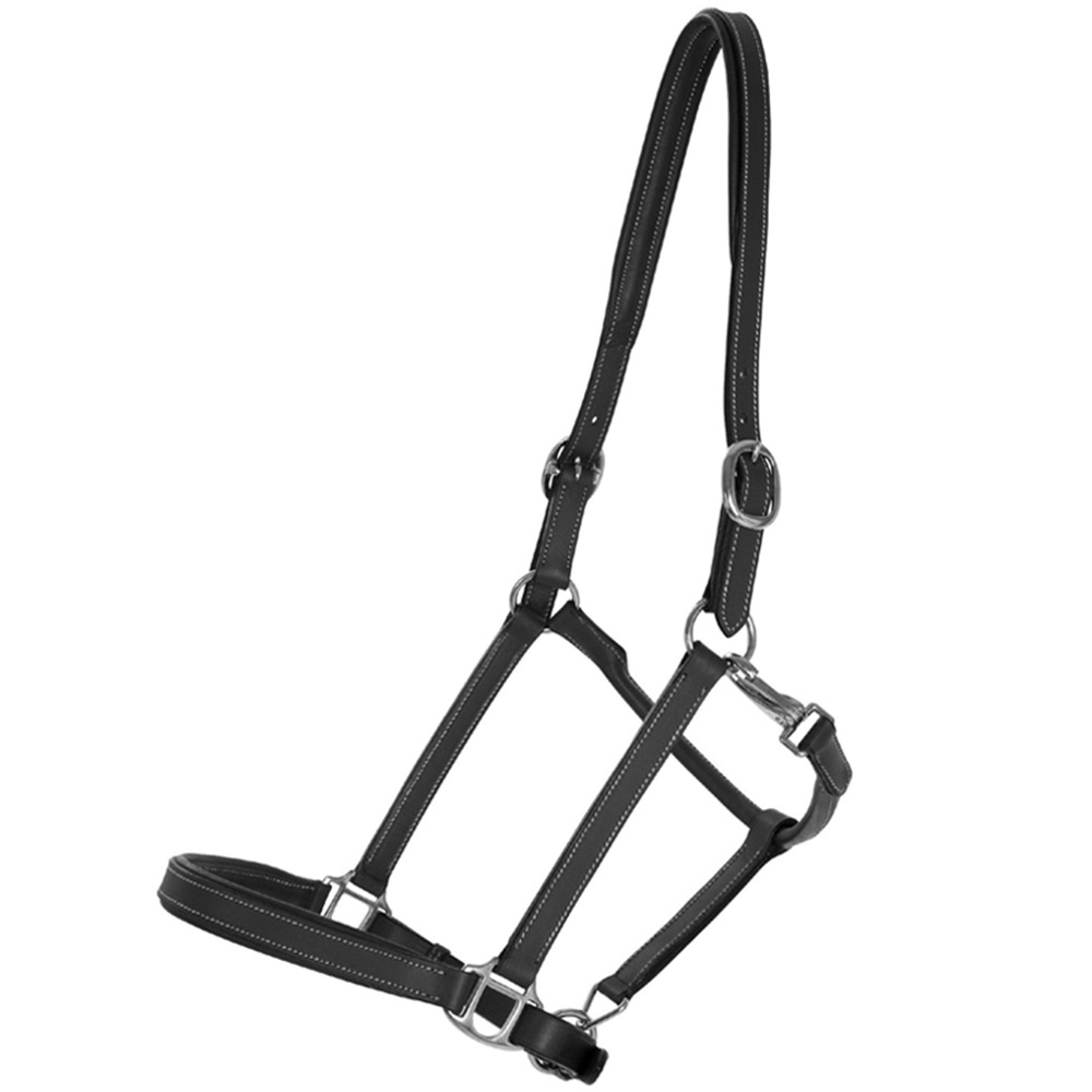 Halter en cuir Slim Basic Noir