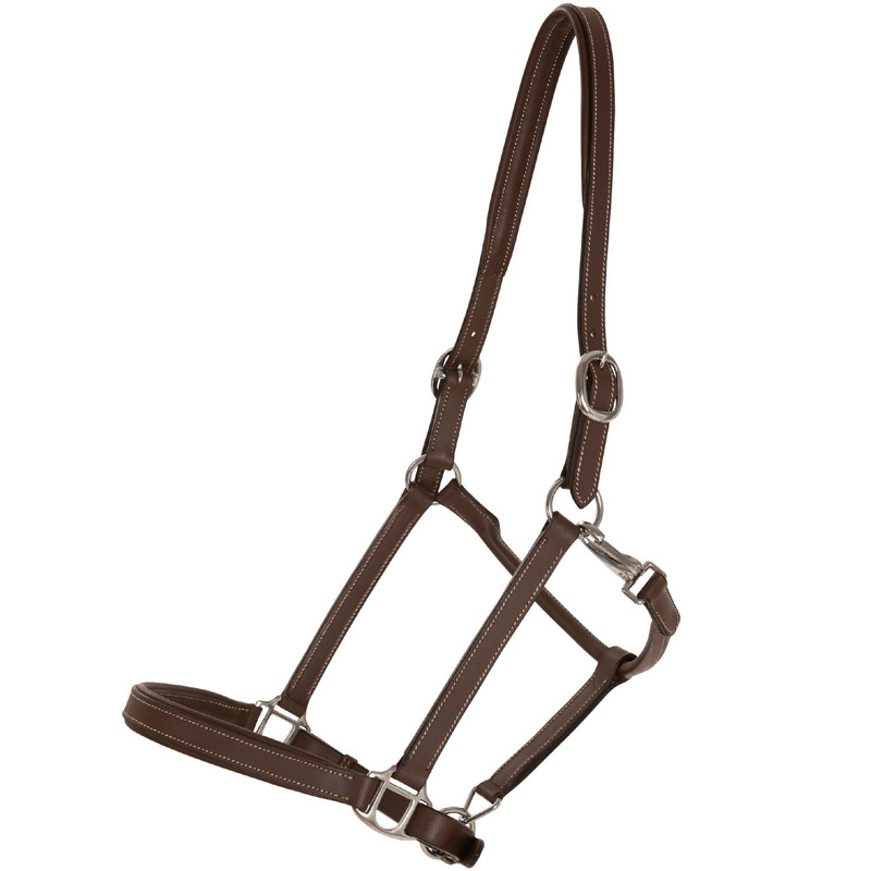 Halter en cuir Slim Basic Marron