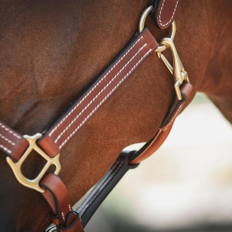 Licol en cuir Lexington Supreme Marron