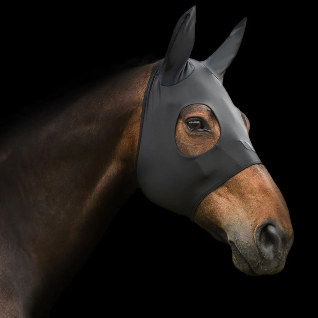 Capuche anti-stress Spirit avec oreilles Noir