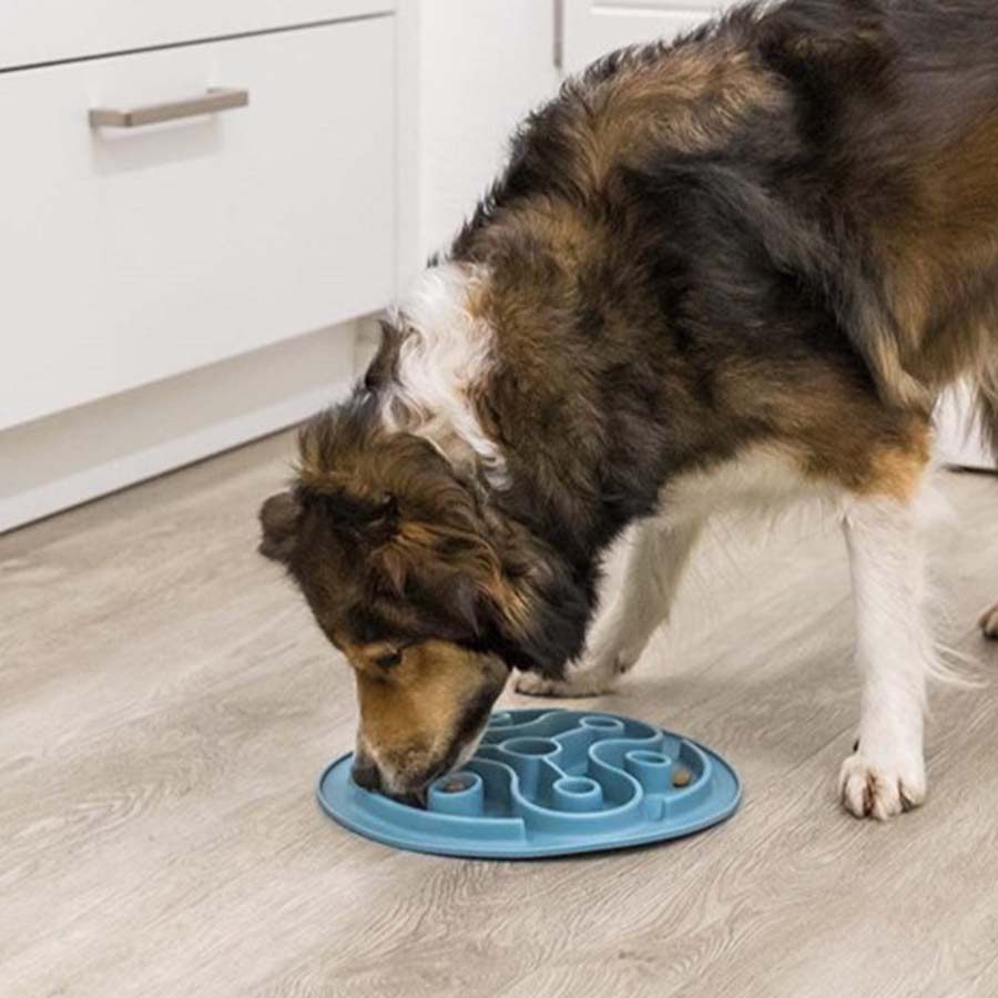 Tapis de nourriture à alimentation lente Turquoise