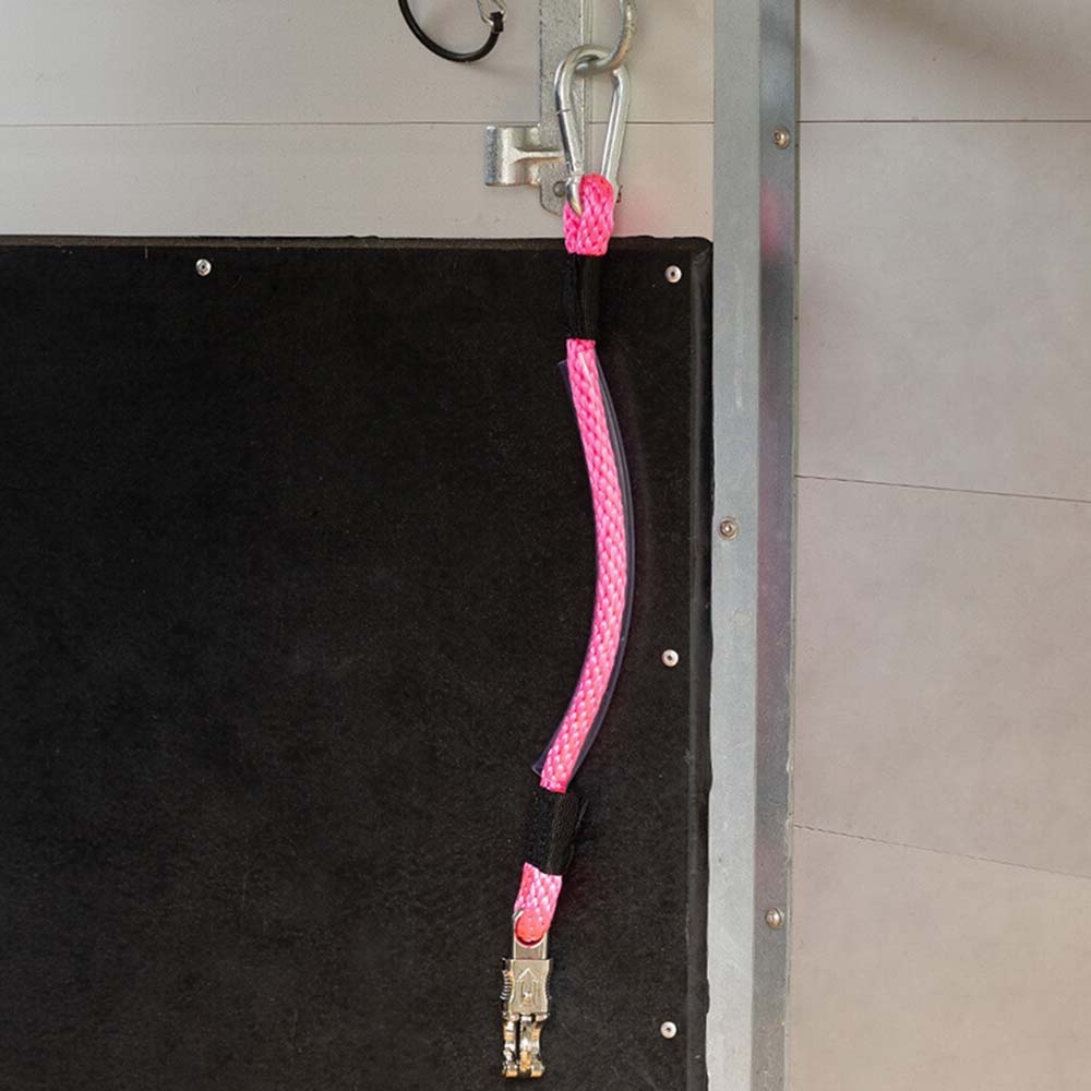 Halter de transport Panic Clip Fuchsia