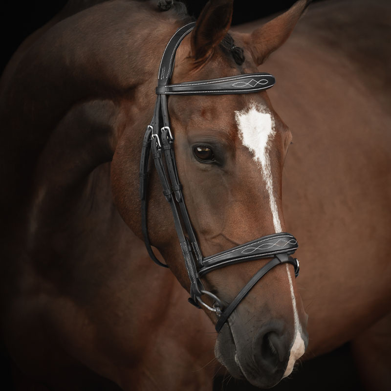 Bridon Supreme Fancy Noir