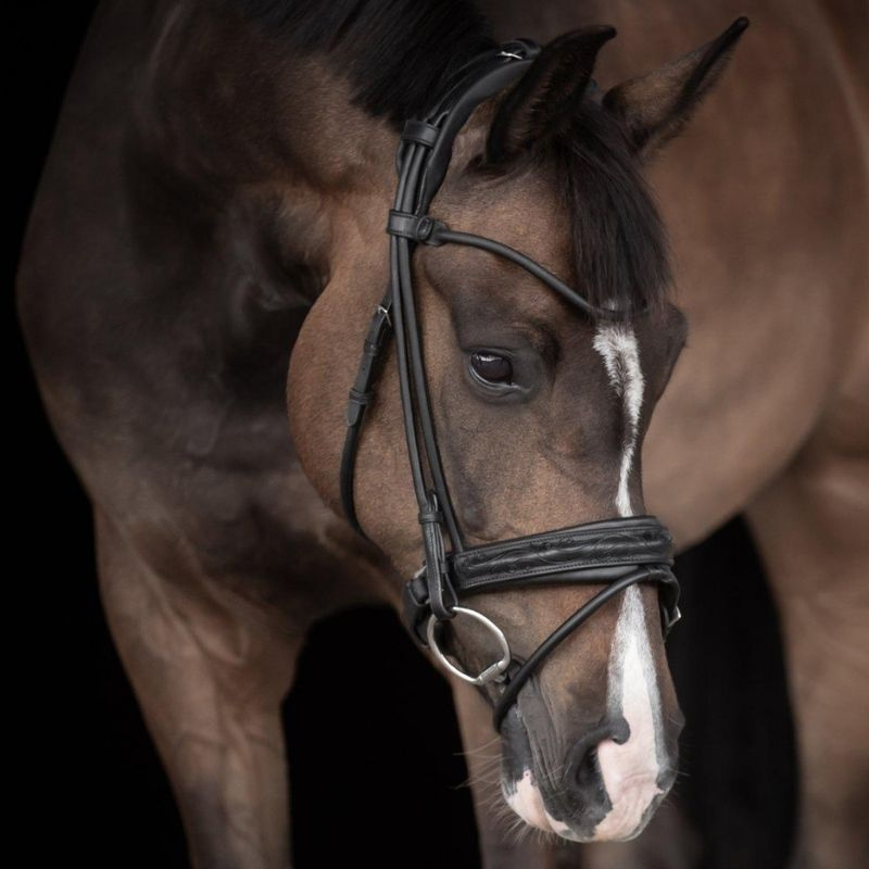 Bridon de dressage Quinsy Supreme Noir