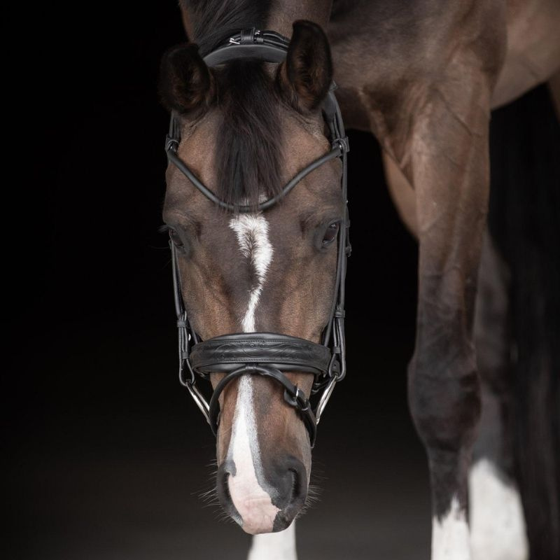 Bridon de dressage Quinsy Supreme Noir