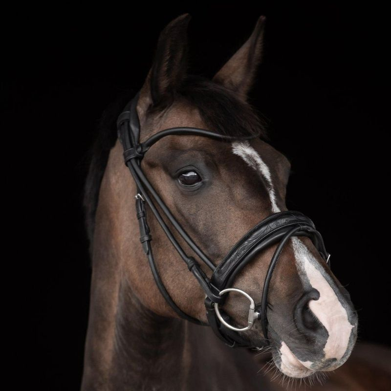 Bridon de dressage Quinsy Supreme Noir