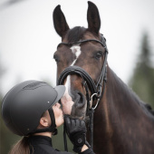 Bridon de dressage Quinsy Supreme Noir Bridon de dressage Quinsy Supreme Noir