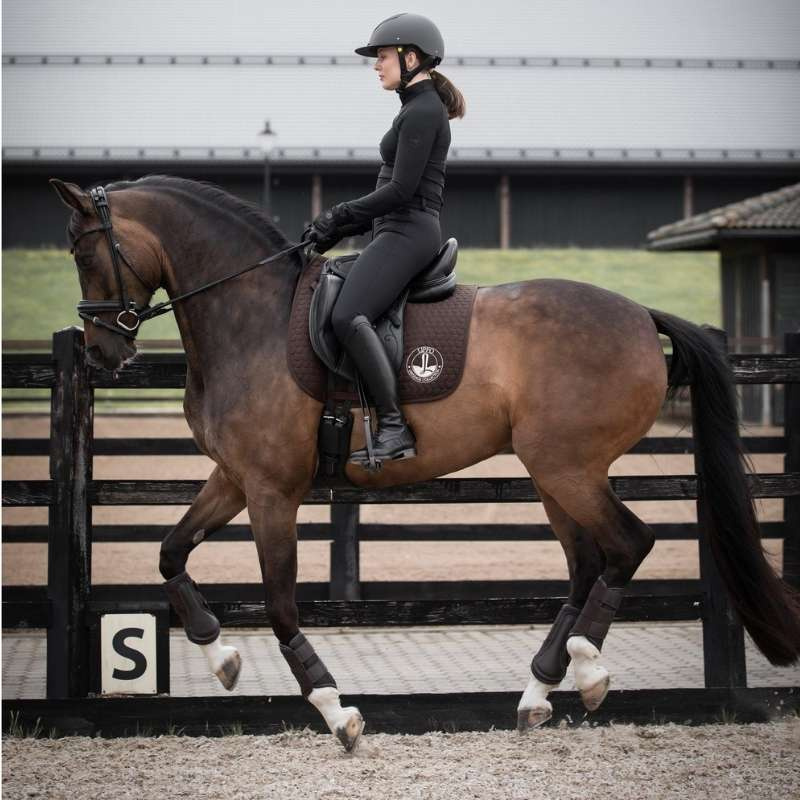 Bridon de dressage Quinsy Supreme Noir