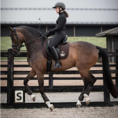 Bridon de dressage Quinsy Supreme Noir Bridon de dressage Quinsy Supreme Noir