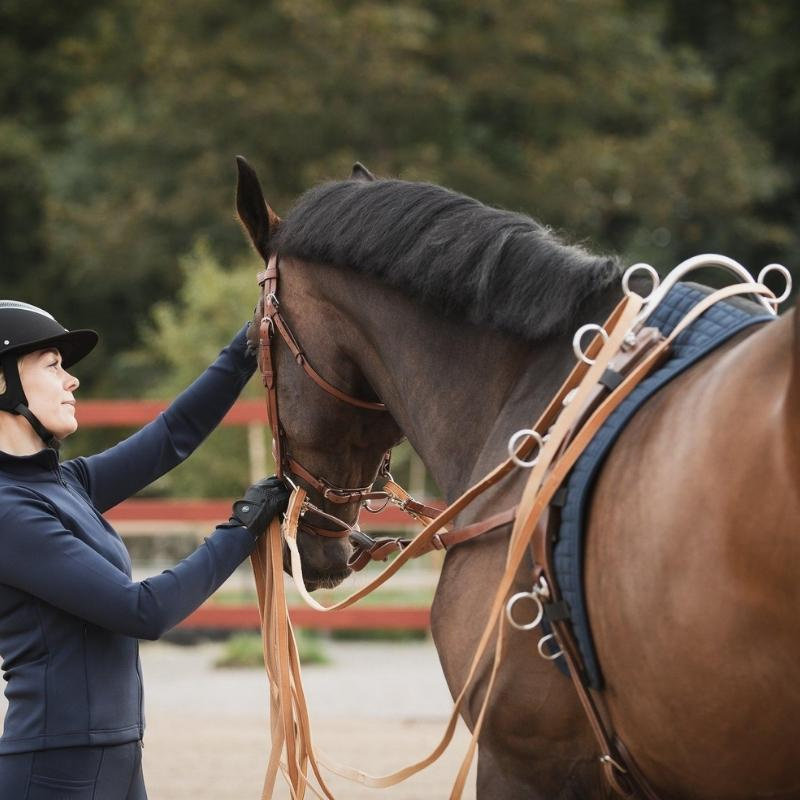 Arceau de guide haut pour surfaix Argent 