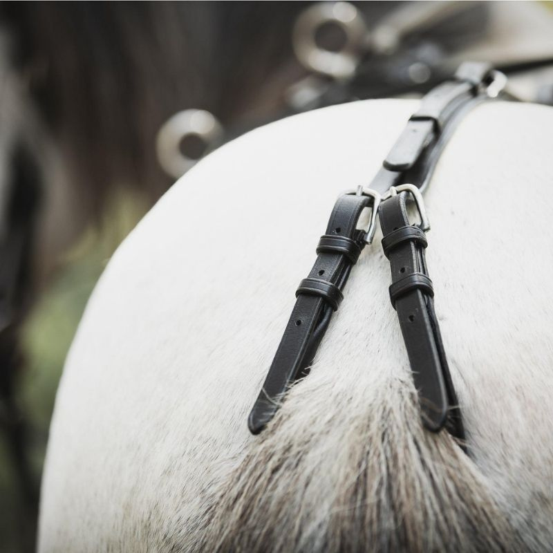 Sangle de longe Shetland/Pony Noir