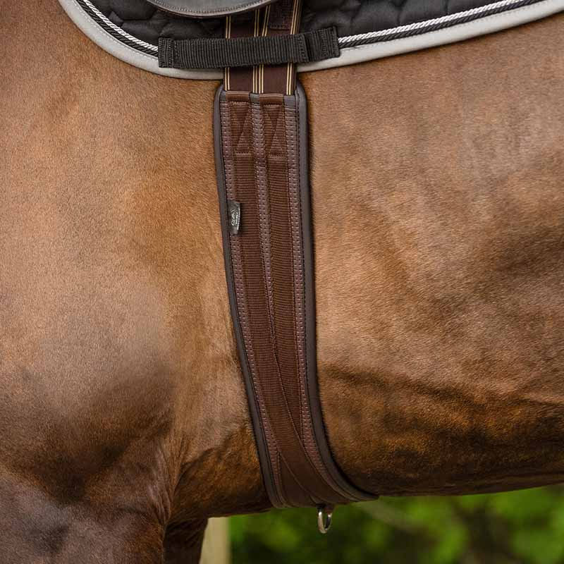 Sangle anatomique Basic Pro Marron