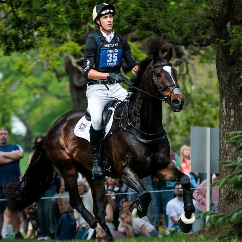 Porte-numéro Eventing Bib Noir