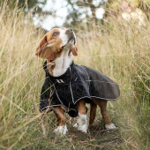 Manteau softshell pour chien Buddy 2.0 Long Back Noir Manteau softshell pour chien Buddy 2.0 Long Back Noir