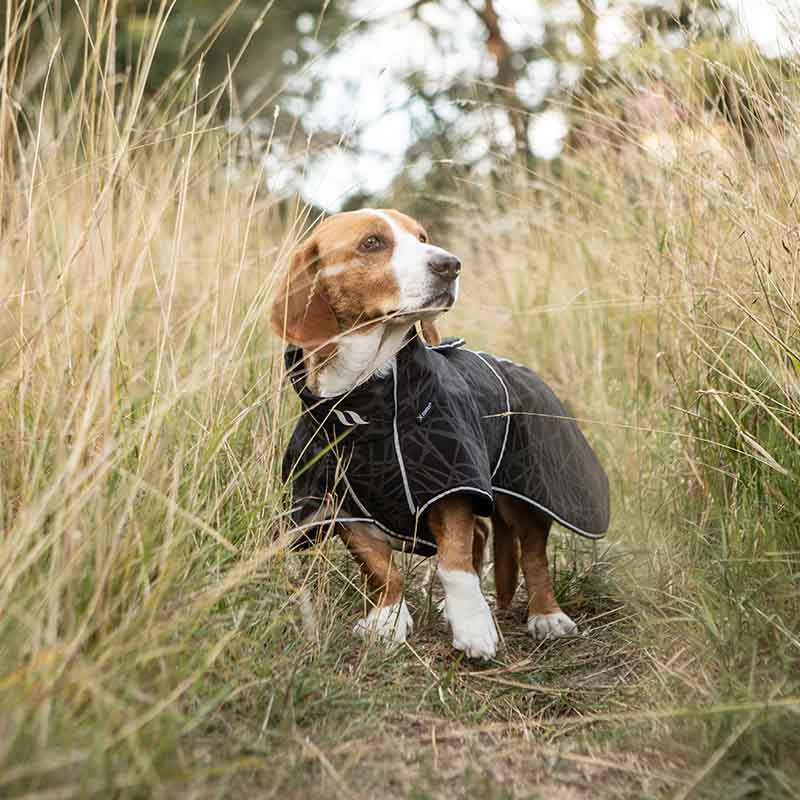Manteau softshell pour chien Buddy 2.0 Long Back Noir