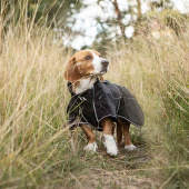 Manteau softshell pour chien Buddy 2.0 Long Back Noir Manteau softshell pour chien Buddy 2.0 Long Back Noir