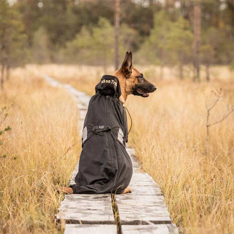 Couverture pour chien Noir