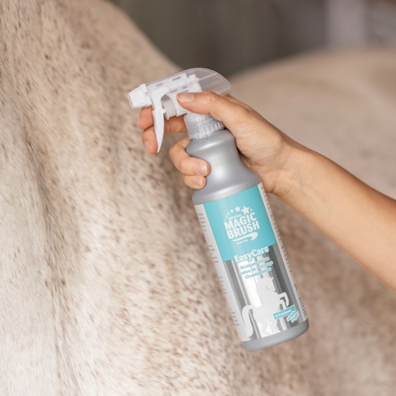Shampooing sec Cleaning Lotion 500ml