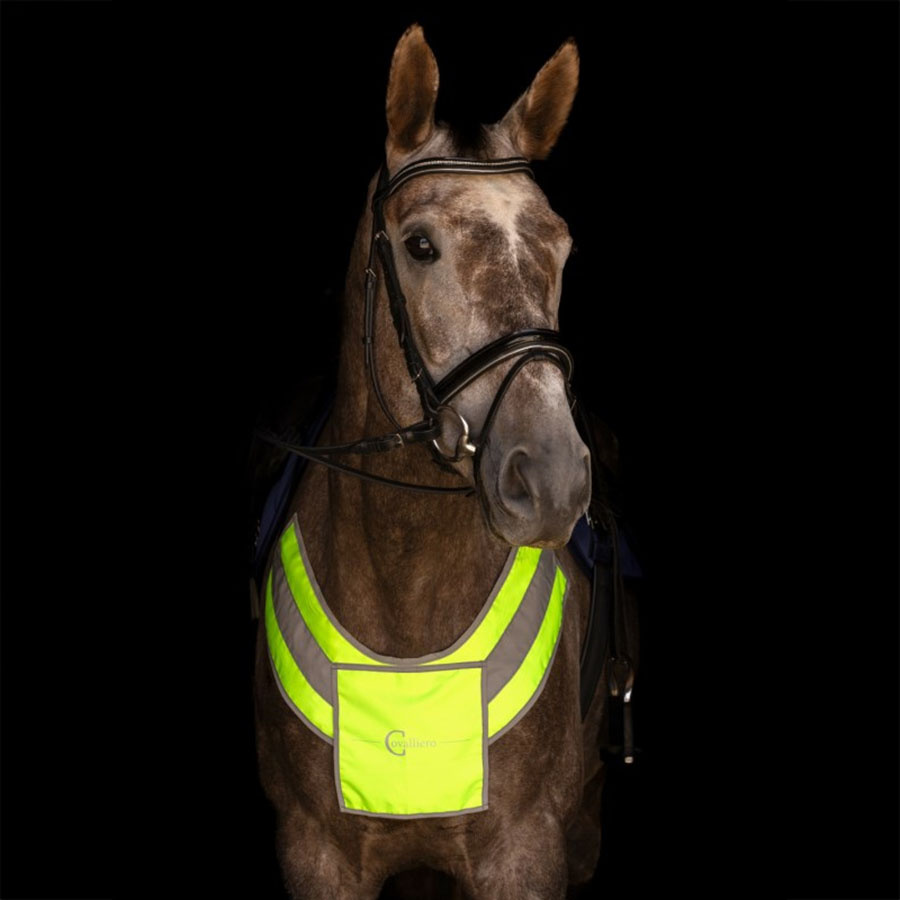 Poitrine Highly Reflective Jaune