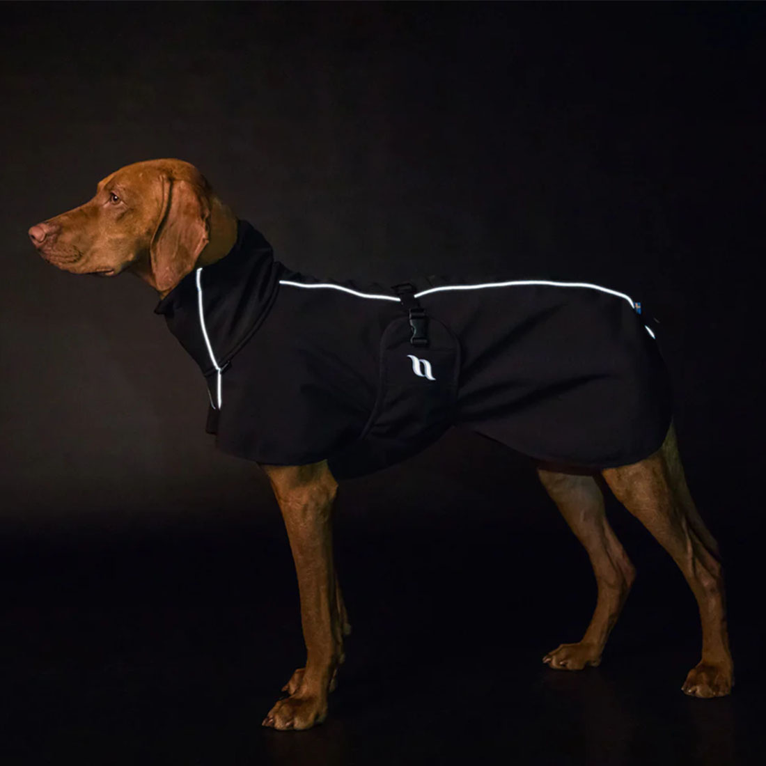 Couverture pour chien Bark Noir