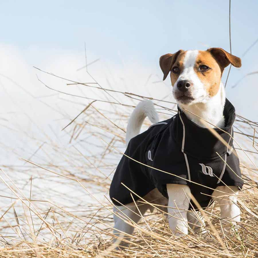 Couverture pour chien Bark Noir