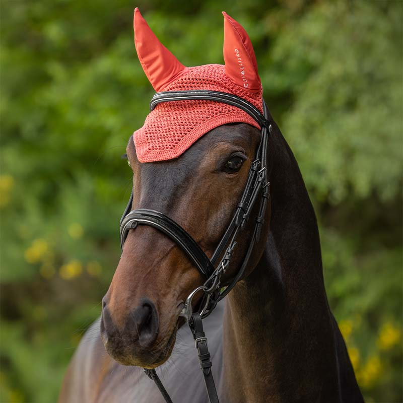 Bonnet Sleek Logo Corail