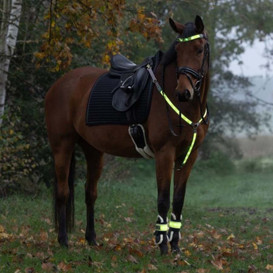 Réflecteurs de jambe High-Visibility LED 2-pack Jaune