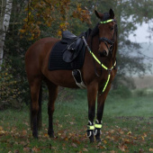 Réflecteurs de jambe High-Visibility LED 2-pack Jaune Réflecteurs de jambe High-Visibility LED 2-pack Jaune