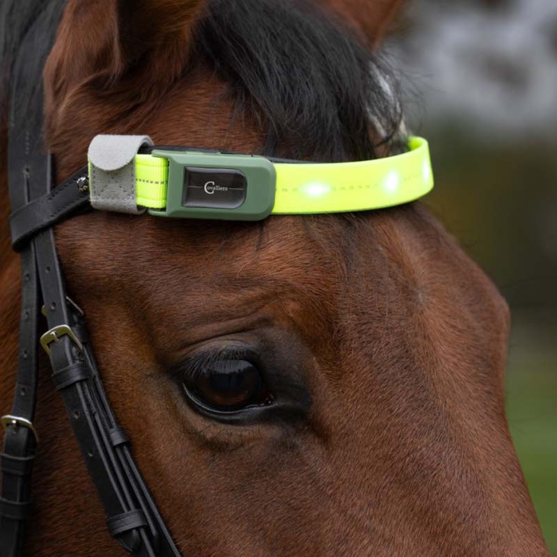 Bandeau High-Visibility LED Jaune