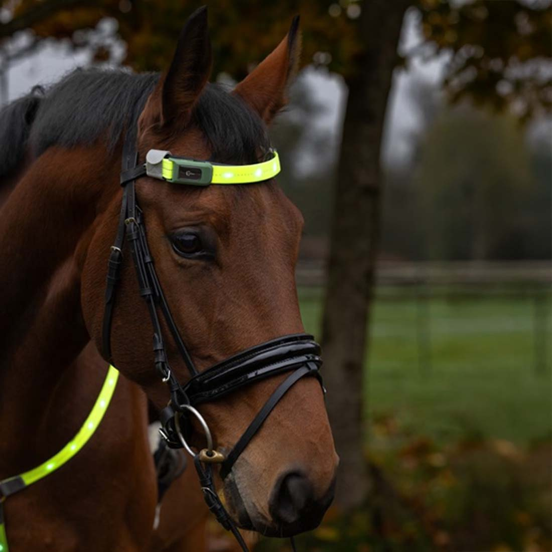 Bandeau High-Visibility LED Jaune