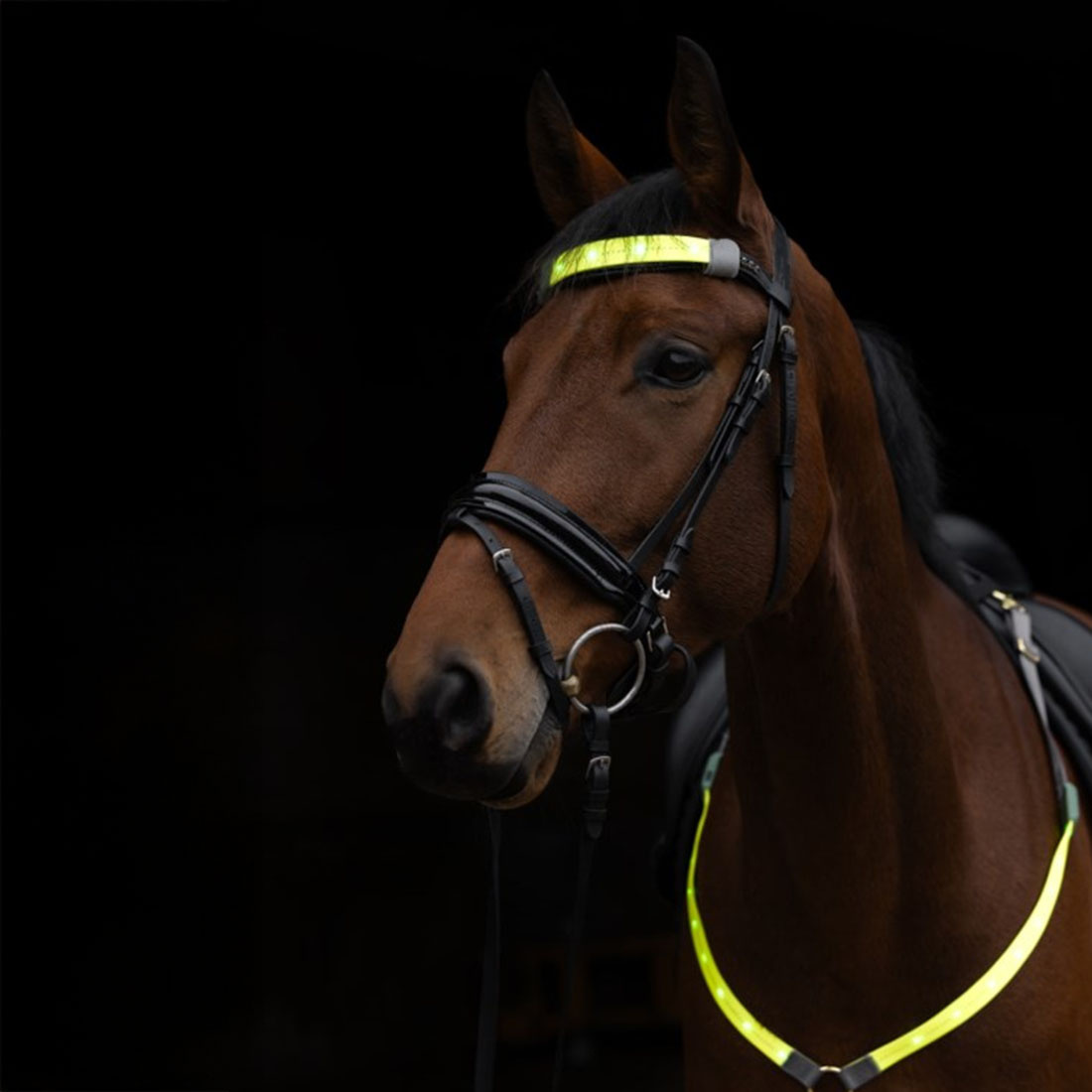 Bandeau High-Visibility LED Jaune