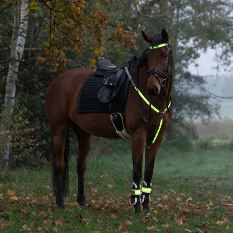 Bandeau High-Visibility LED Jaune