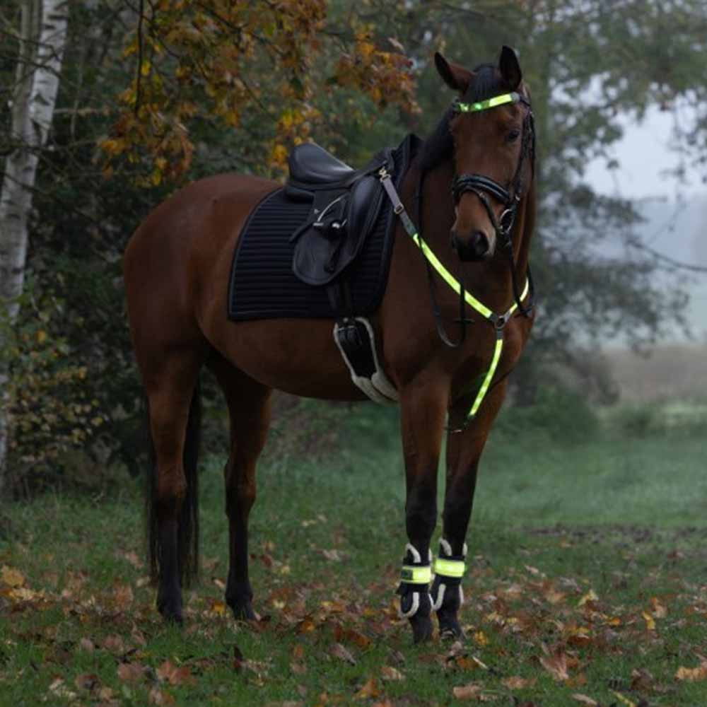 Poitrine High-Visibility LED Jaune