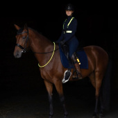 Reflex LED Functional Vest Jaune Reflex LED Functional Vest Jaune