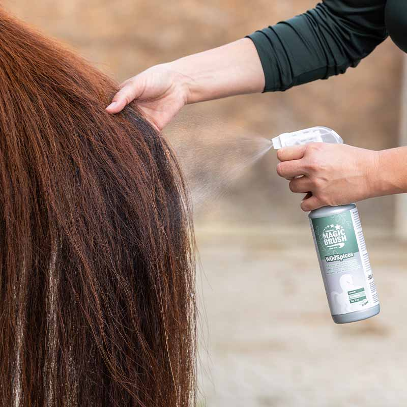 Brillance du pelage Premium Wild Spices 500 ml