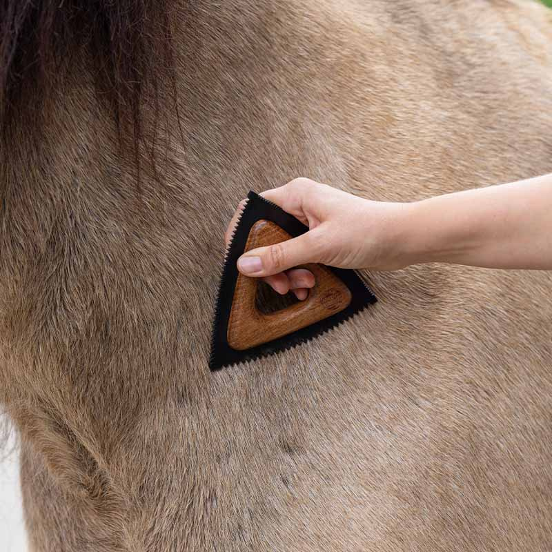 Lame de mue Triangle Marron