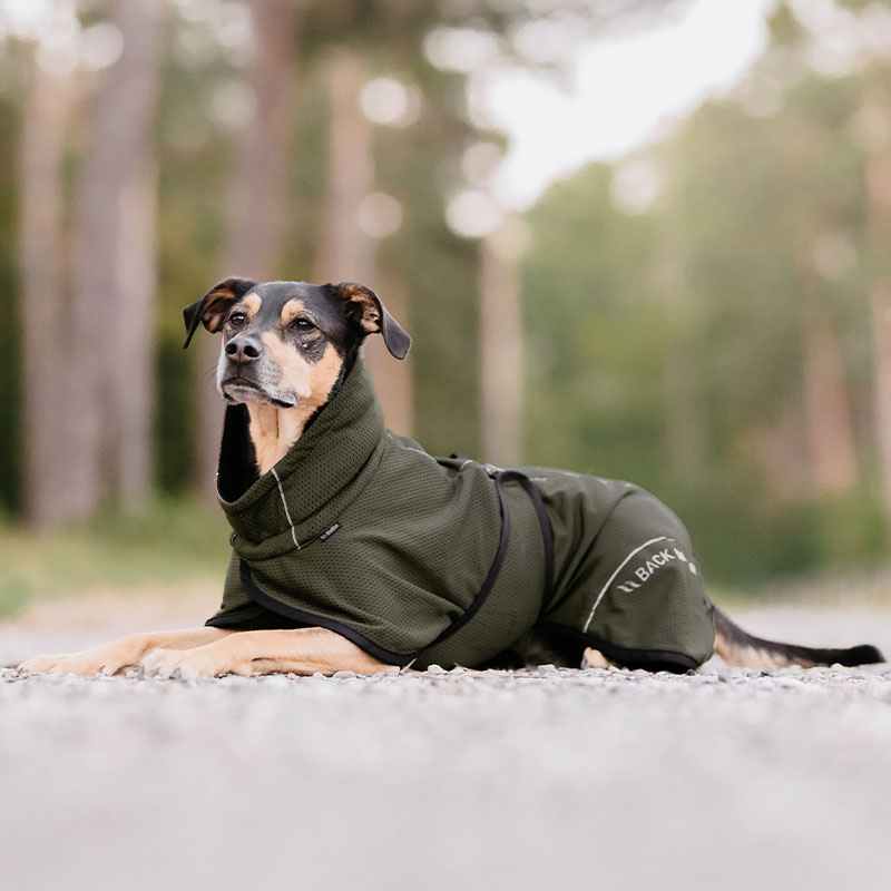 Manteau en mesh pour chien Bay High Tail Vert olive