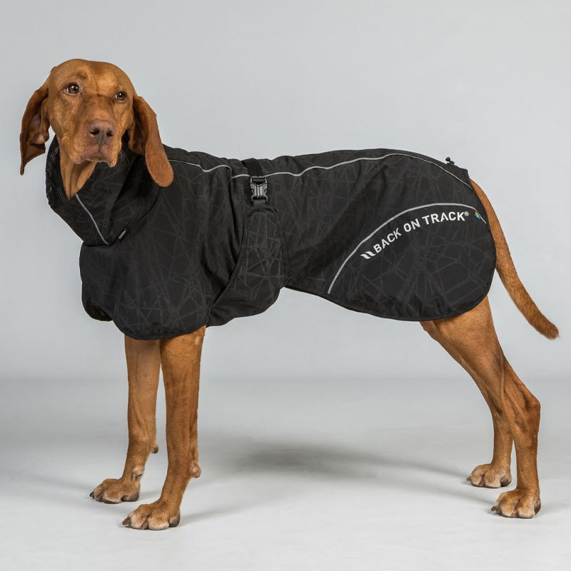 Manteau de pluie pour chien Bay High Tail Noir