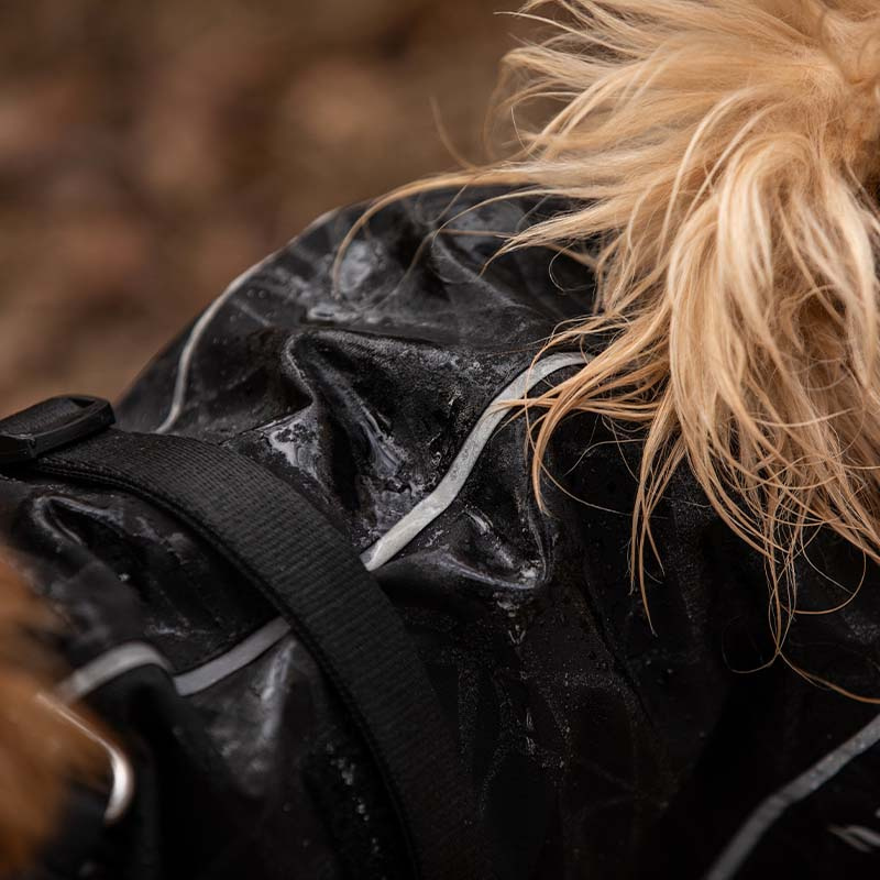 Manteau de pluie pour chien Bay High Tail Noir
