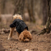 Manteau de pluie pour chien Bay High Tail Noir Manteau de pluie pour chien Bay High Tail Noir
