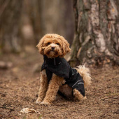 Manteau de pluie pour chien Bay High Tail Noir Manteau de pluie pour chien Bay High Tail Noir