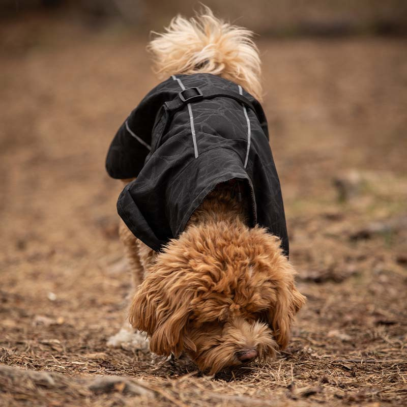 Manteau de pluie pour chien Bay High Tail Noir