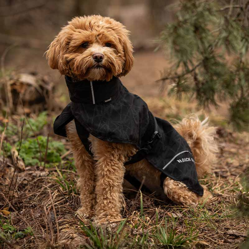 Manteau de pluie pour chien Bay High Tail Noir