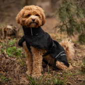 Manteau de pluie pour chien Bay High Tail Noir Manteau de pluie pour chien Bay High Tail Noir